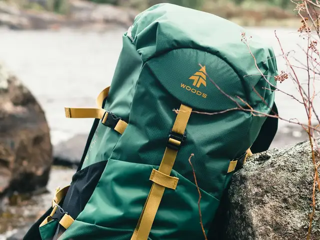 Carrier Expedition 60L